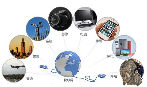 物聯(lián)網(wǎng)時(shí)代的隱形戰(zhàn)場(chǎng) 網(wǎng)絡(luò)與信息安全軟件開發(fā)的九大核心挑戰(zhàn)